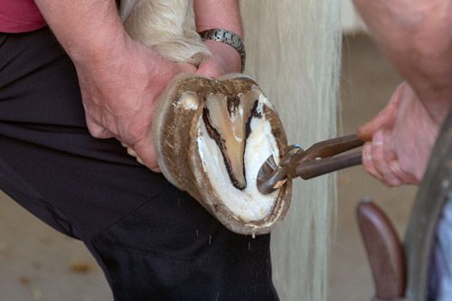Orthopädische Beschläge in Bismark und Sachsen-Anhalt