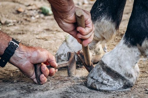 Reparaturen in Bismark und Sachsen-Anhalt